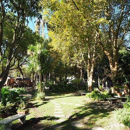 Waterland Lodge Hout Bay Esterno foto