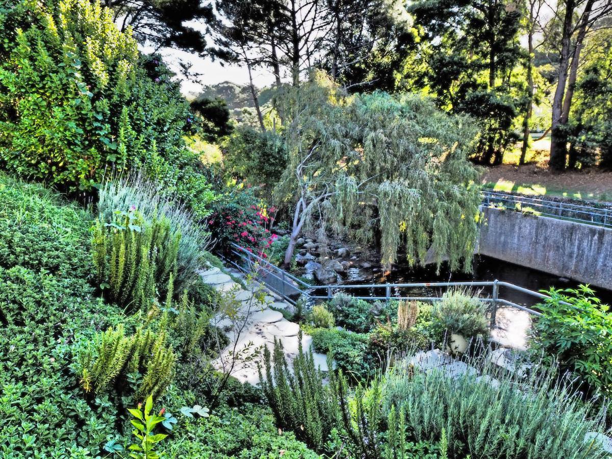 Waterland Lodge Hout Bay Esterno foto
