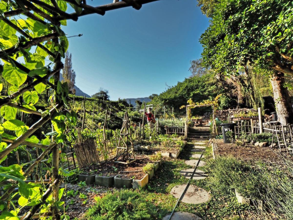Waterland Lodge Hout Bay Esterno foto