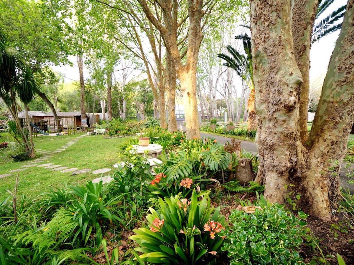 Waterland Lodge Hout Bay Esterno foto